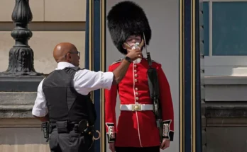 Buckingham Palace Guards Break Stoic Stances to Drink Water amid London Heatwave