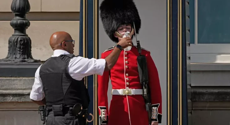 Buckingham Palace Guards Break Stoic Stances to Drink Water amid London Heatwave